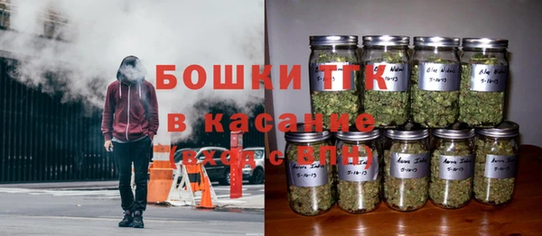 сатива Арсеньев