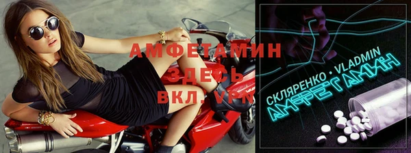 сатива Арсеньев