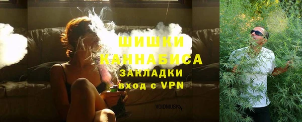 сатива Арсеньев